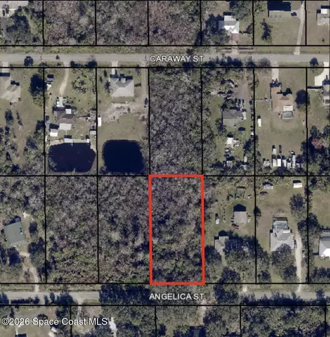 3324 Angelica St, Cocoa, FL 32926