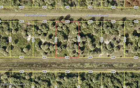 756 Parrotfish St SW, Palm Bay, FL 32908