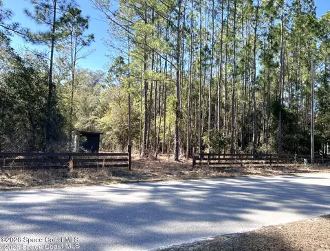 181 Lakeway Dr, Georgetown, FL 32139