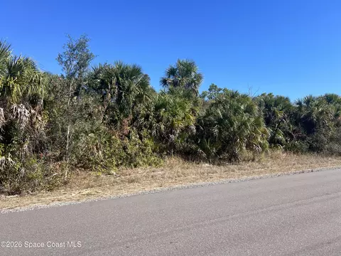 541 La Goy St SW, Palm Bay, FL 32908