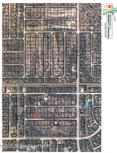3182 Papaya Ave SW, Palm Bay, FL 32908