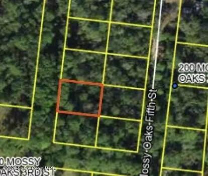 200 Mossy Oaks Fourth St, Other, FL 99999