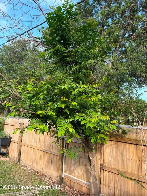Other - 1835 Longleaf Rd, Cocoa, FL 32926 photo 13 of 14