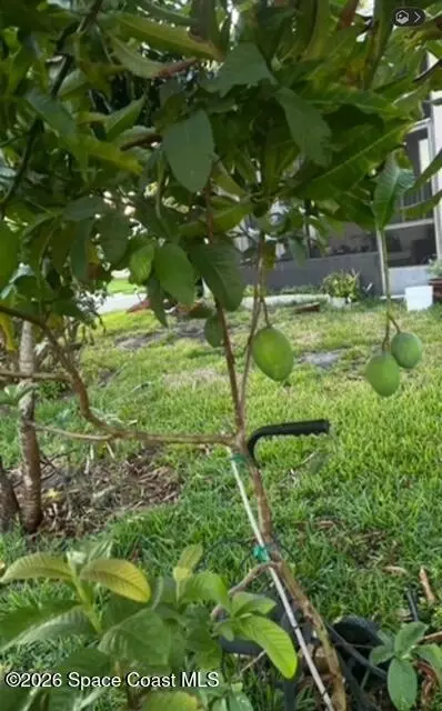 Other - 3403 Cloudberry Pl, Melbourne, FL 32940 photo 9 of 14