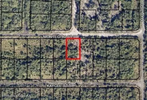 1440 Montecito St SW, Palm Bay, FL 32908