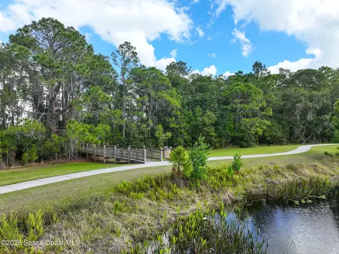View/Area - 3335 Primrose Willow Dr, Saint Cloud, FL 34773 photo 5 of 7