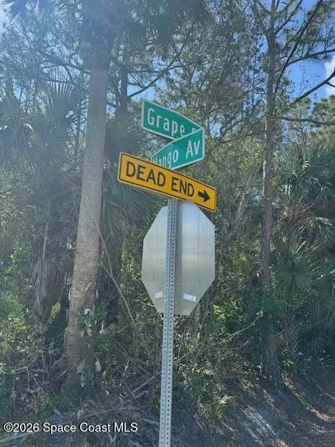 0 Grape And Mango St, Cocoa, FL 32926 photo 3