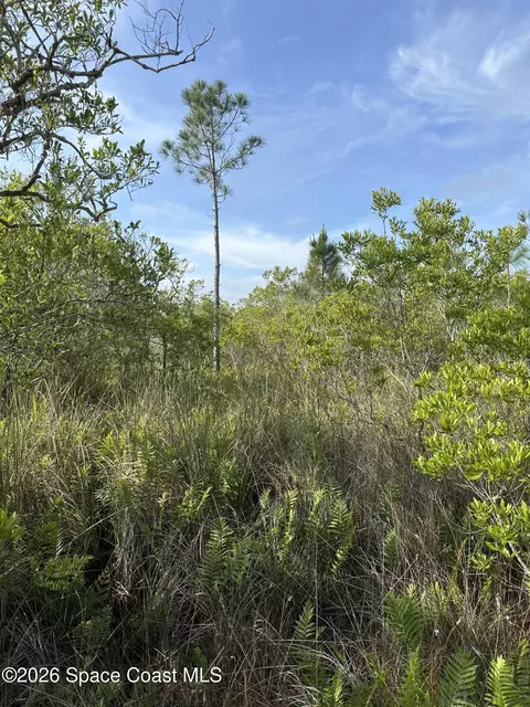 0 Unknown Ave, Cocoa, FL 32926