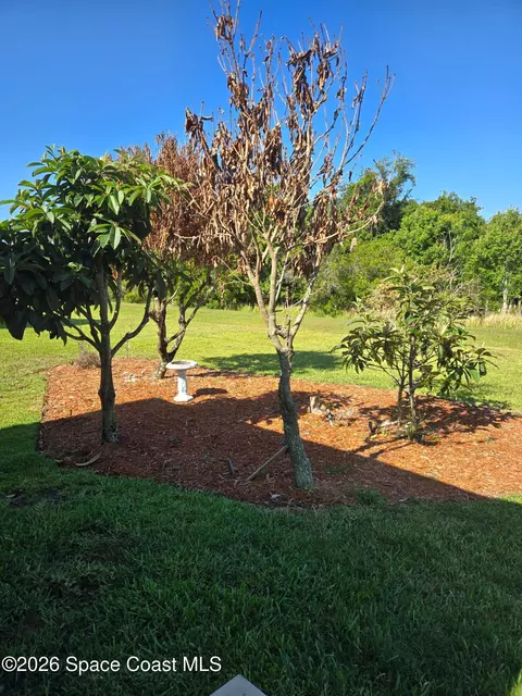 375 Outer Dr NE #213, Cocoa, FL 32926 photo 7