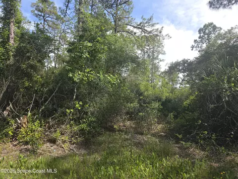 0000 Spanks St, Mims, FL 32754 photo 6