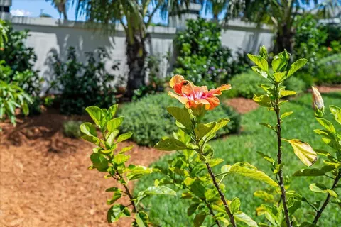 Exterior - 201 Loggerhead Dr, Melbourne Beach, FL 32951 photo 11 of 21