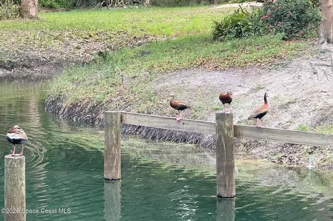 Other - 3525 Hield Rd, Melbourne, FL 32904 photo 16 of 22