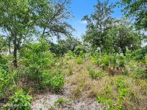 5560 Cangro St, Cocoa, FL 32926 photo 35