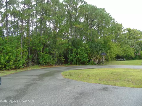496 Privet Ct NW, Palm Bay, FL 32907