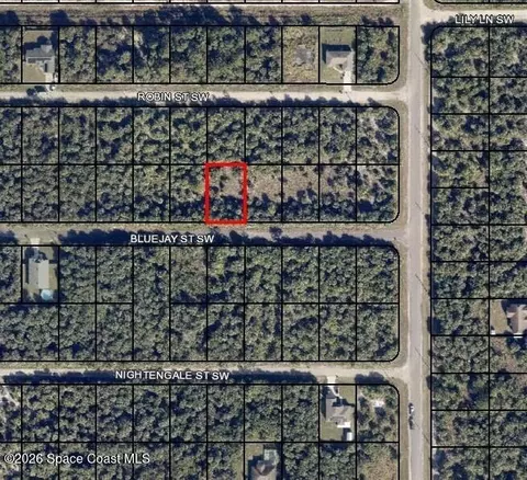 839 Bluejay St SW, Palm Bay, FL 32908