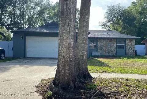 13923 Capitol Dr, Tampa, FL 33611