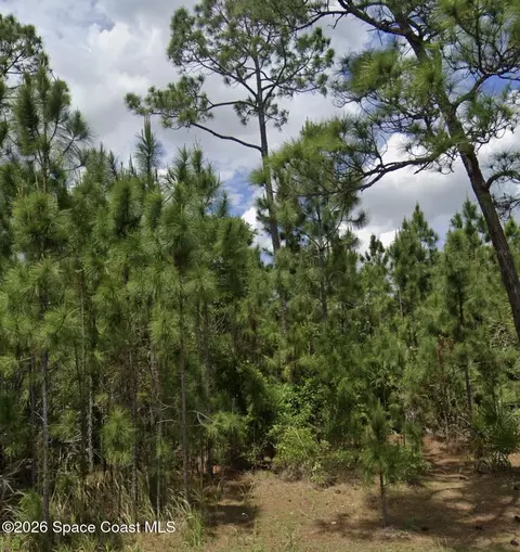 455 Dadeville St SE, Palm Bay, FL 32909