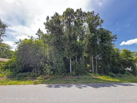 2172 Rockabye Ave SE, Palm Bay, FL 32909