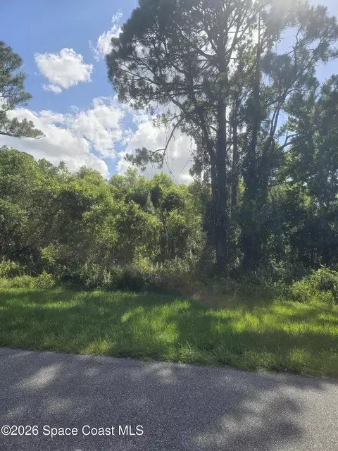 3906 Rambling Acres Dr, Titusville, FL 32780