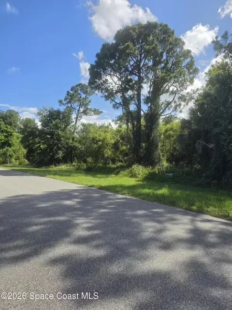 3912 Rambling Acres Dr, Titusville, FL 32796