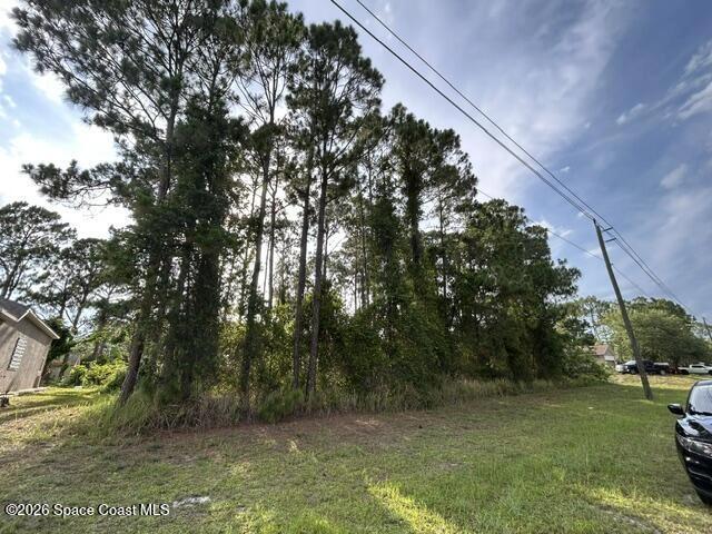 258 Krassner Dr NW, Palm Bay, FL 32907
