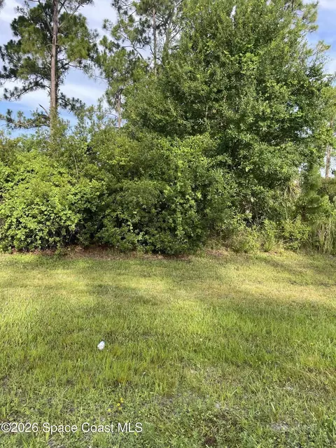 3232 Lowry Blvd SE, Palm Bay, FL 32909 photo 3