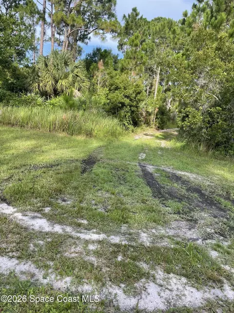 3232 Lowry Blvd SE, Palm Bay, FL 32909 photo 7