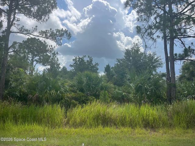 541 Windswept Ave SW, Palm Bay, FL 32908
