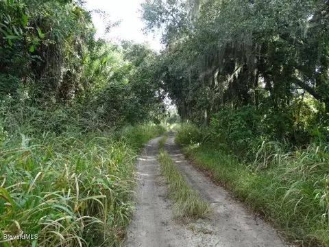 4585 Osprey Ave, Cocoa, FL 32926 photo 9