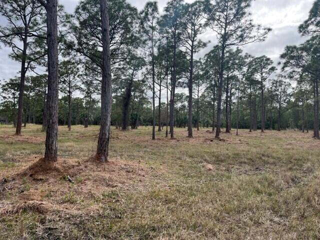 0000 Govan Ave, Malabar, FL 32950