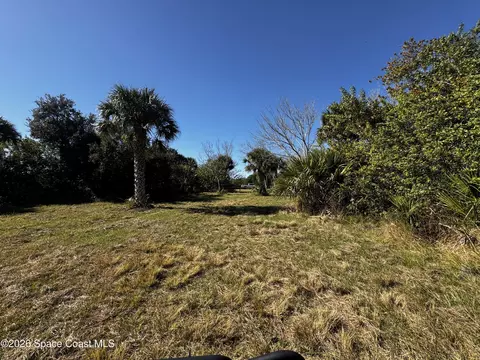 0 Grantline 10 Acres Rd, Mims, FL 32754 photo 12