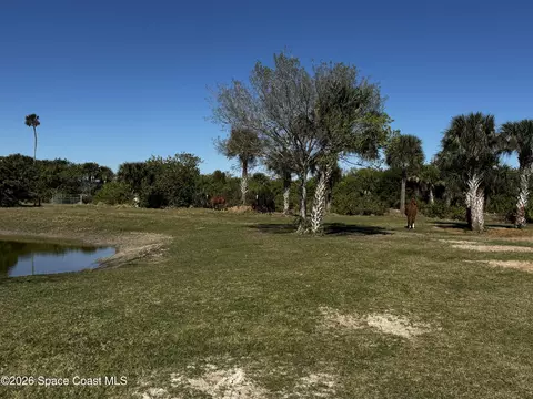 0 Grantline 10 Acres Rd, Mims, FL 32754 photo 13