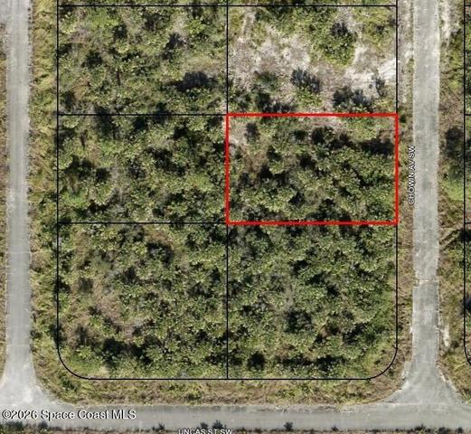 3390 Chowin Ave SW, Palm Bay, FL 32908