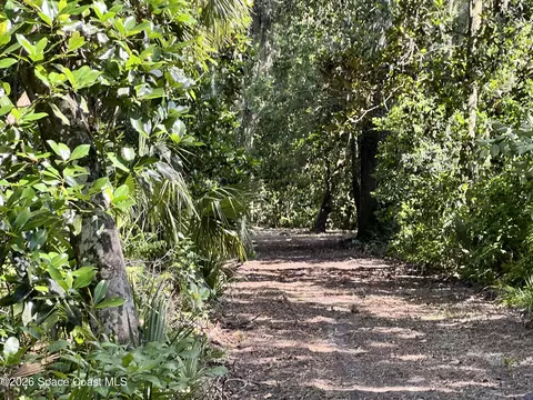 0 Carter Rd, Mims, FL 32754 photo 10