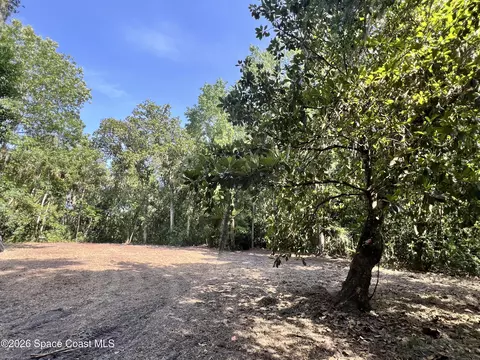 0 Carter Rd, Mims, FL 32754 photo 3