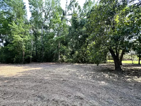 0 Carter Rd, Mims, FL 32754 photo 7