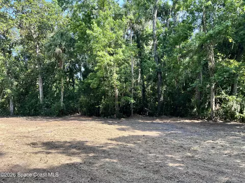 0 Carter Rd, Mims, FL 32754 photo 6