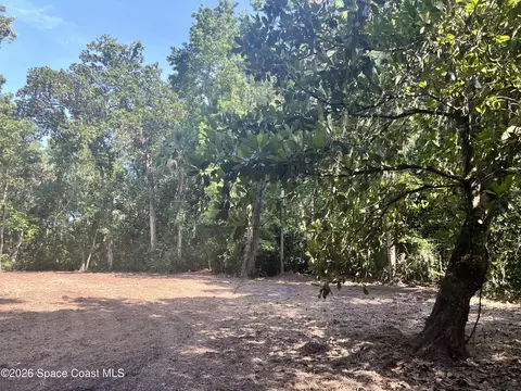 0 Carter Rd, Mims, FL 32754 photo 5