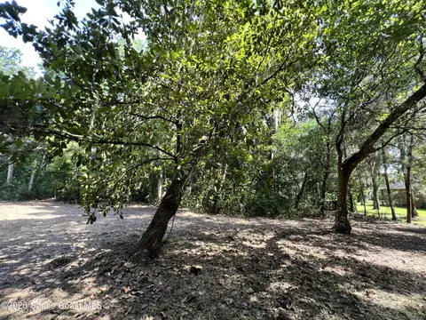 0 Carter Rd, Mims, FL 32754 photo 14