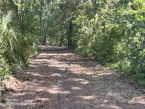 0 Carter Rd, Mims, FL 32754 photo 11