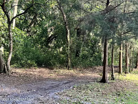 0 Carter Rd, Mims, FL 32754 photo 18