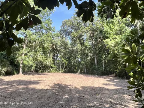 0 Carter Rd, Mims, FL 32754 photo 4