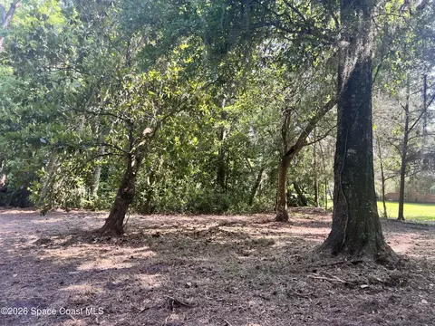 0 Carter Rd, Mims, FL 32754 photo 12