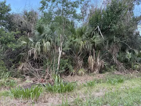3845 Ocala St, Cocoa, FL 32926 photo 3