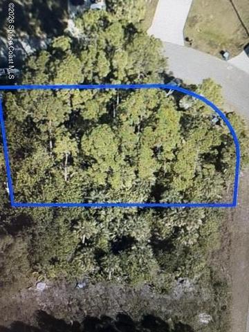 340 Tamarind Cir NW, Palm Bay, FL 32907