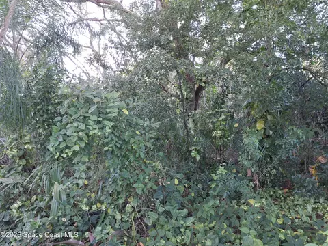 4824 Curtis Blvd, Cocoa, FL 32927 photo 4
