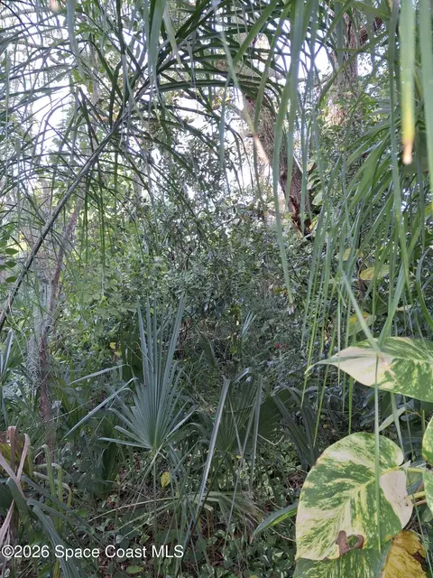 4824 Curtis Blvd, Cocoa, FL 32927 photo 3