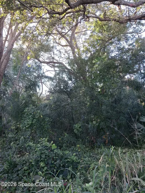 4824 Curtis Blvd, Cocoa, FL 32927 photo 7