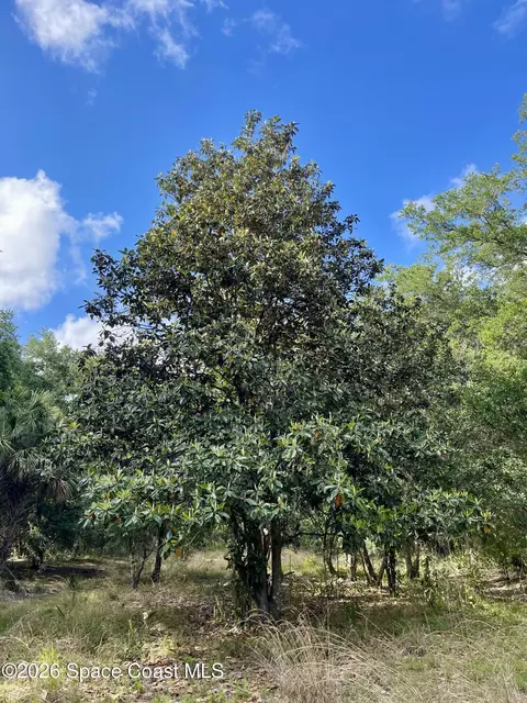 00 Willowbrook Dr, Palm Bay, FL 32909
