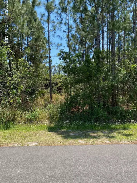 362 Frazer St SW, Palm Bay, FL 32908